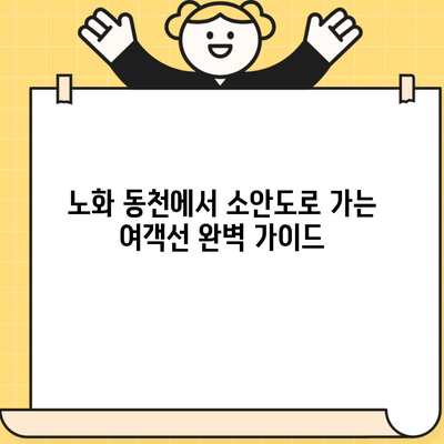 노화 동천에서 소안도로 가는 여객선 완벽 가이드