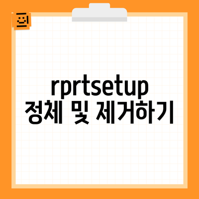 rprtsetup 정체 및 제거하기