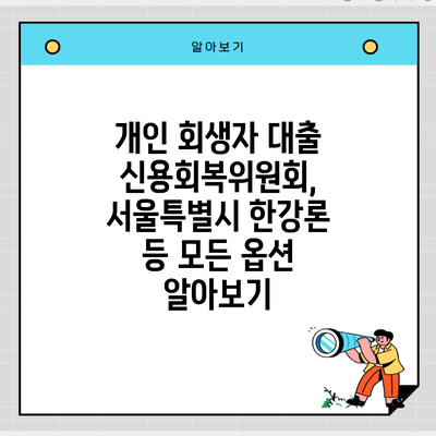 개인 회생자 대출 신용회복위원회, 서울특별시 한강론 등 모든 옵션 알아보기