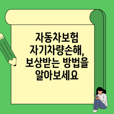 자동차보험 자기차량손해, 보상받는 방법을 알아보세요