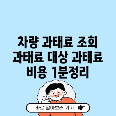 차량 과태료 조회 과태료 대상 과태료 비용 1분정리