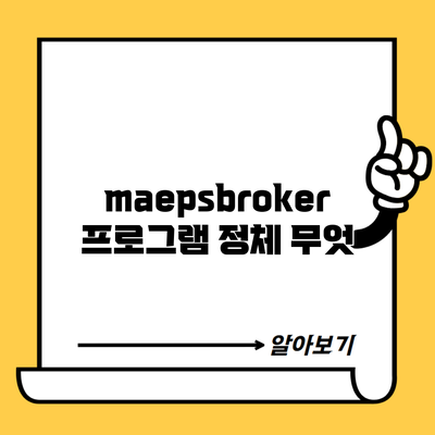 maepsbroker 프로그램 정체 무엇