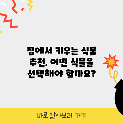 집에서 키우는 식물 추천, 어떤 식물을 선택해야 할까요?