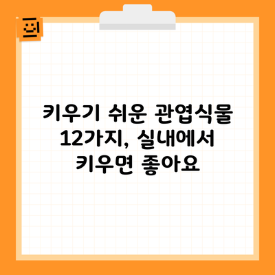 키우기 쉬운 관엽식물 12가지, 실내에서 키우면 좋아요