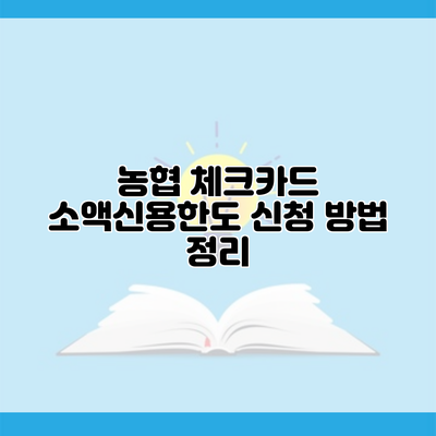 농협 체크카드 소액신용한도 신청 방법 정리