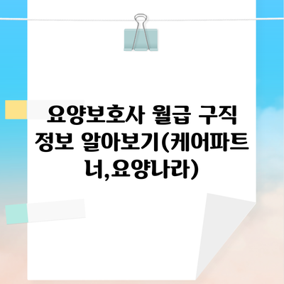 요양보호사 월급 구직 정보 알아보기(케어파트너,요양나라)