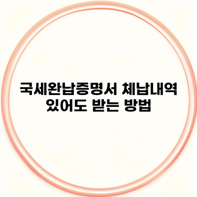 국세완납증명서 체납내역 있어도 받는 방법