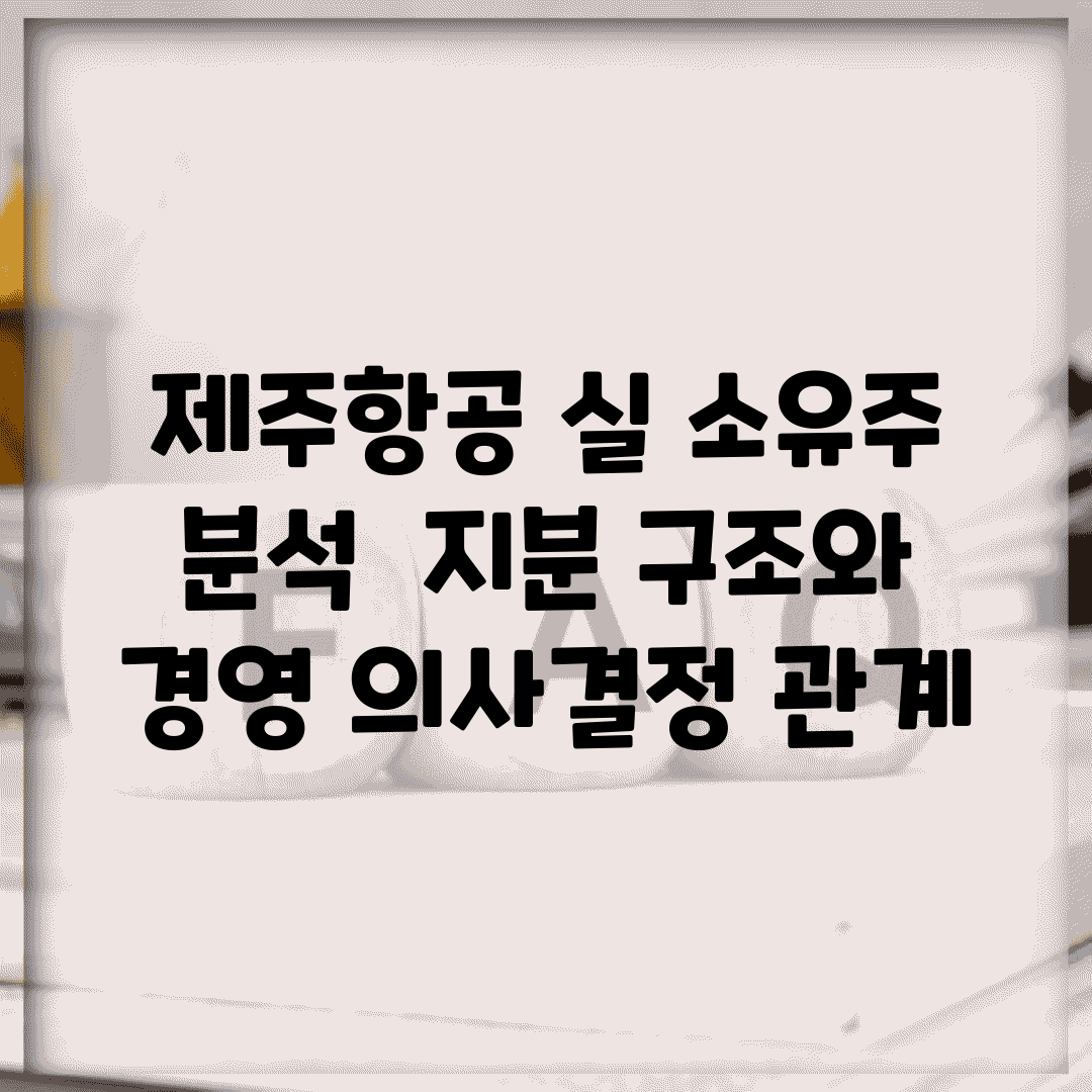 제주항공 실 소유주 분석 | 지분 구조와 경영 의사결정 관계