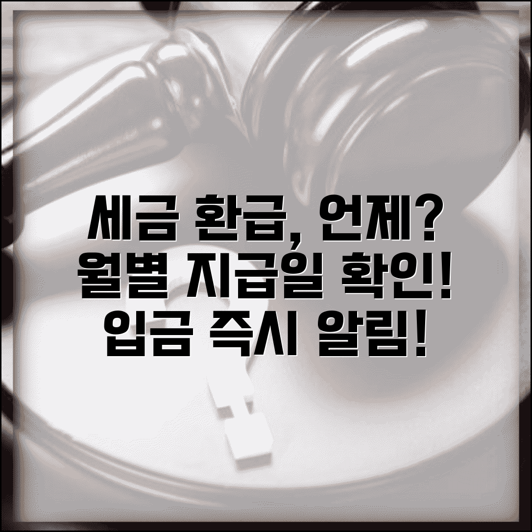 환급금 지급일 및 입금 시기 | 세금 환급 언제 받나요 | 월별 환급 일정 | 환급금 입금 확인법