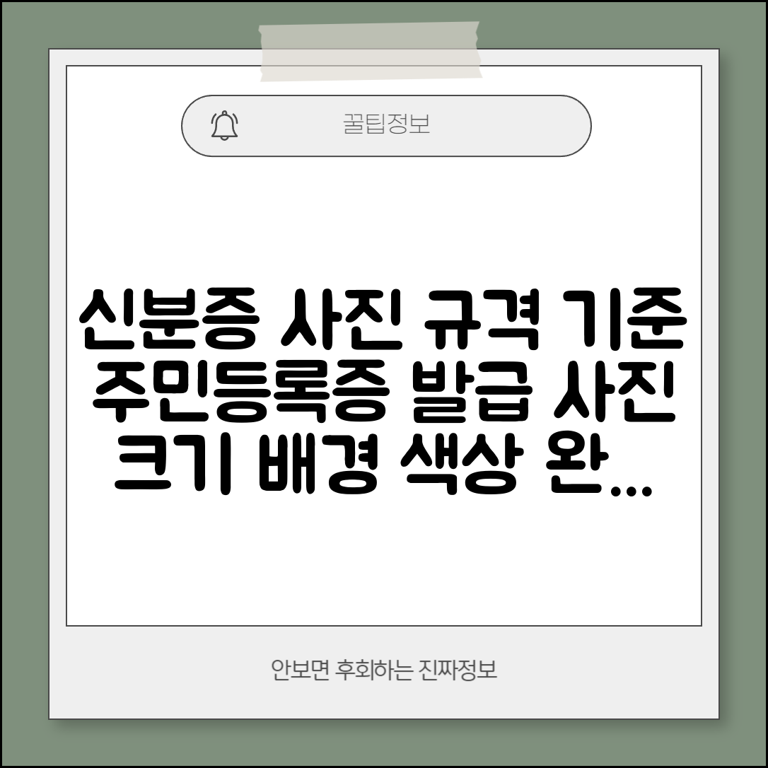 신분증 사진 규격 기준 | 주민등록증 발급용 사진 크기와 배경 색상 규정
