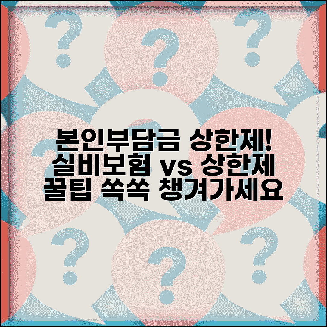 본인부담금 상한제 실비보험 | 실손보험과 상한제 중복 혜택