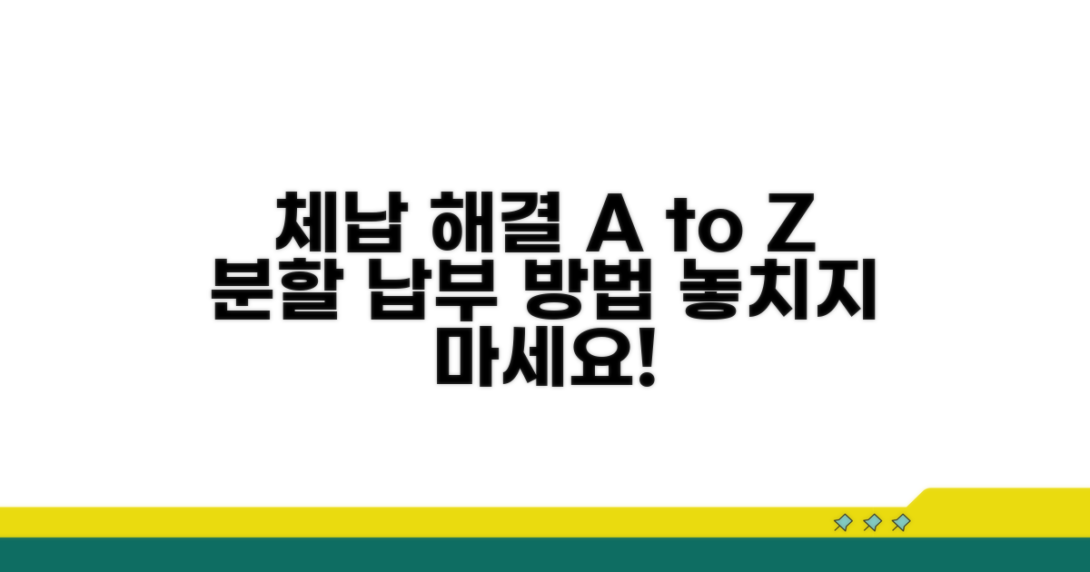 체납 정리와 분할 납부 상세 안내