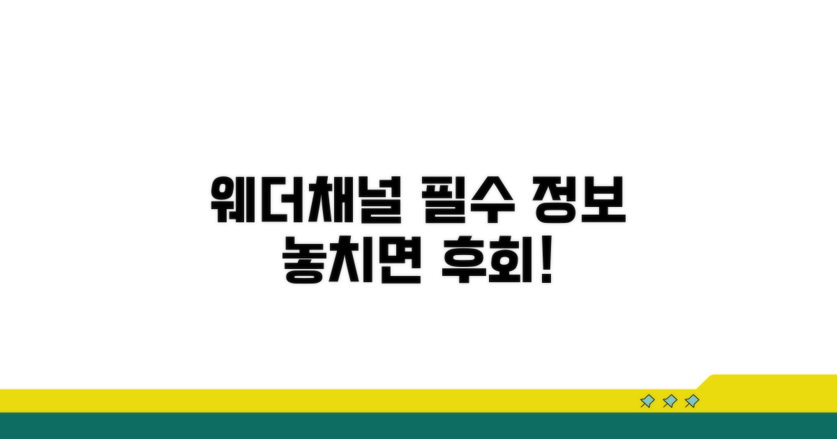 웨더채널 이용 시 필수 정보