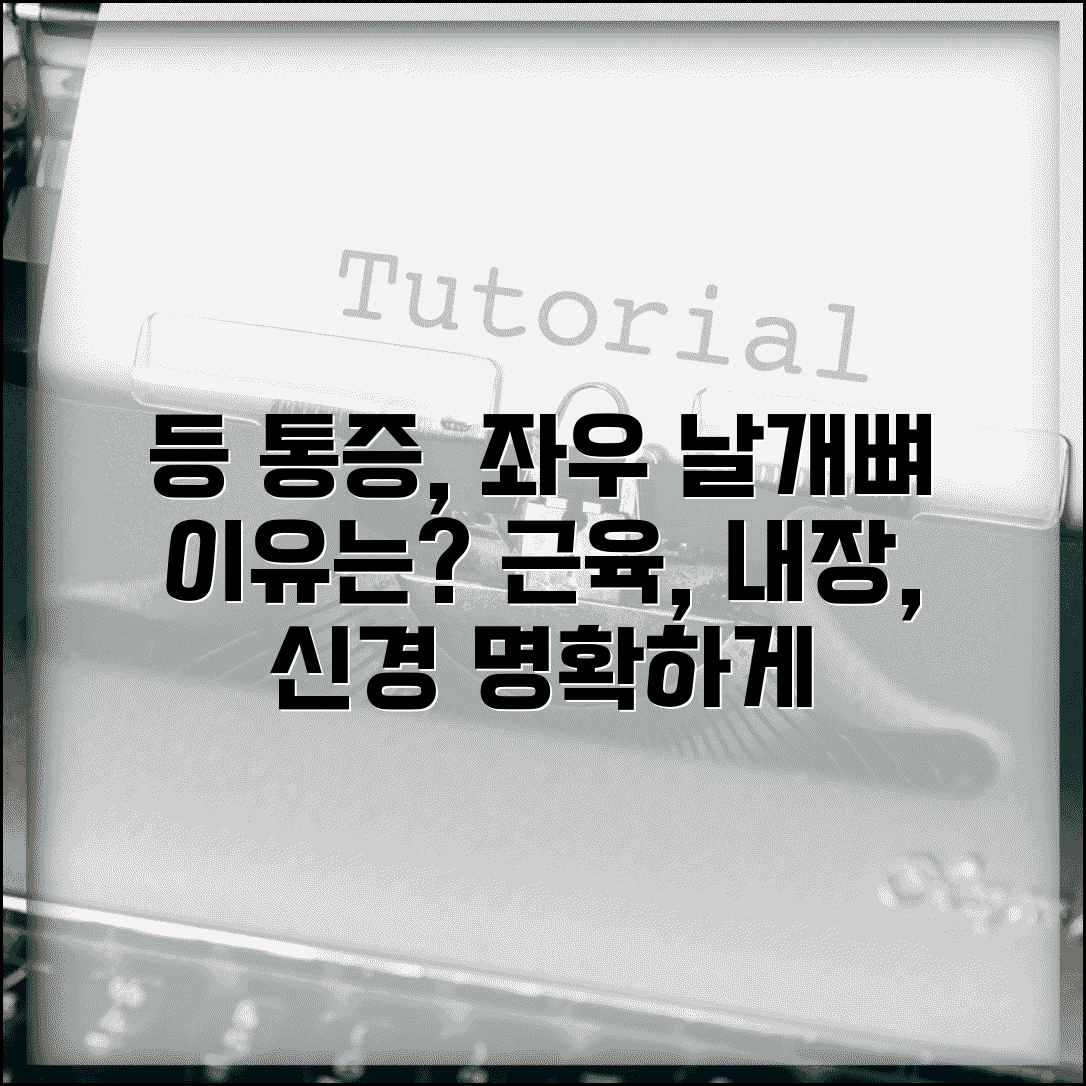 등 통증 원인 왼쪽 오른쪽 날개뼈 | 등 아픈 이유 근육 내장 신경