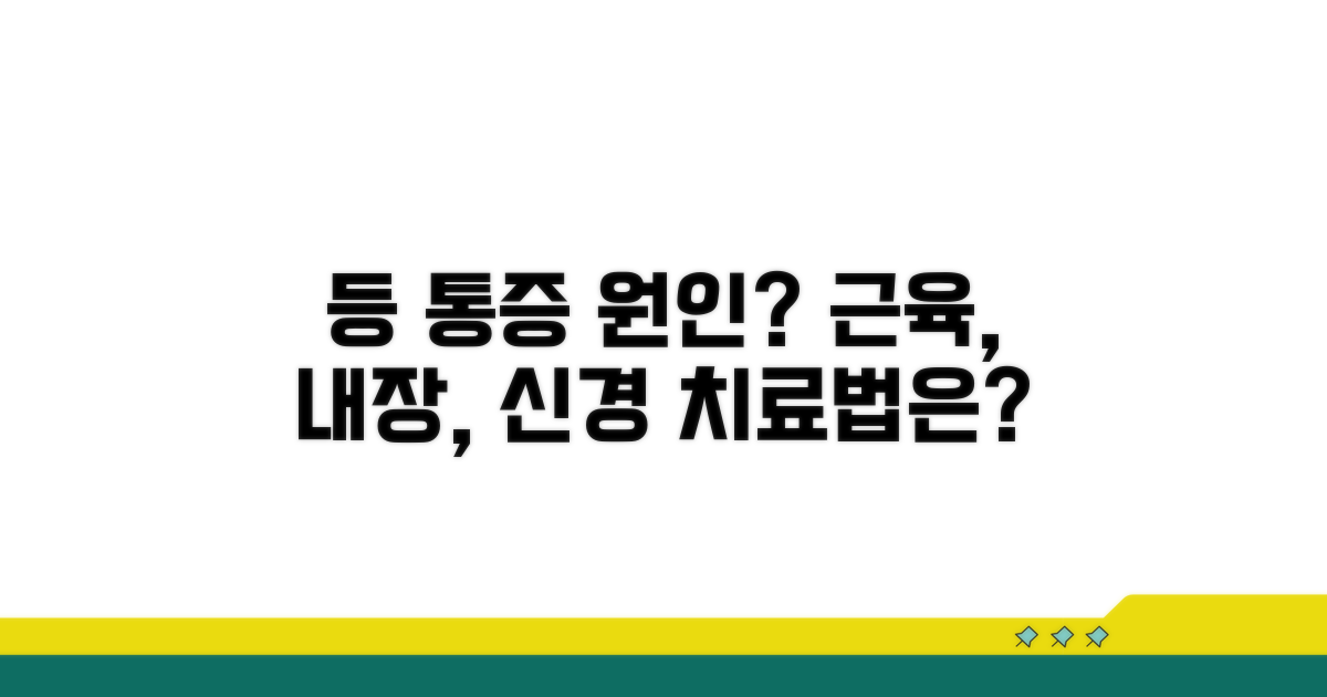 등 아픈 이유: 근육, 내장, 신경