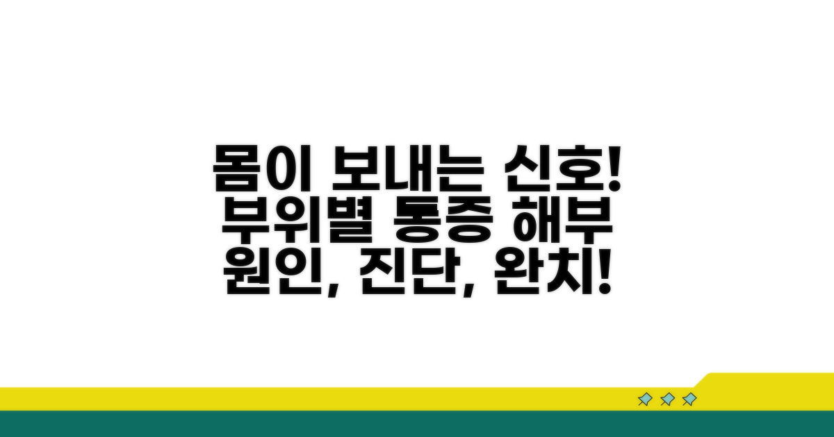 부위별 통증 증상 상세 분석
