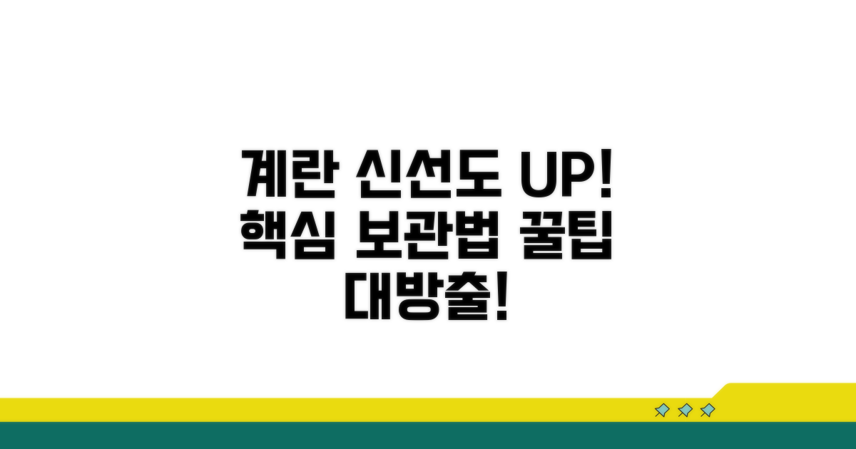 안전한 계란 보관법 꿀팁