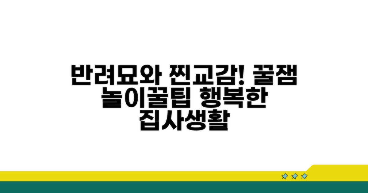 고양이와 교감하는 즐거운 놀이 문화