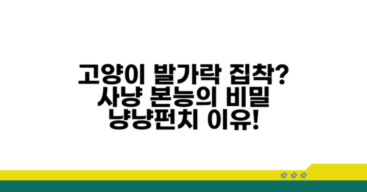 사냥 놀이, 고양이가 발가락에 집착하는 이유