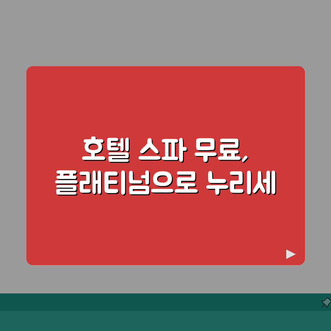 호텔 스파 할인 현대 THE PLATINUM | 현대카드 더플래티넘 호텔 스파 무료 꿀팁
