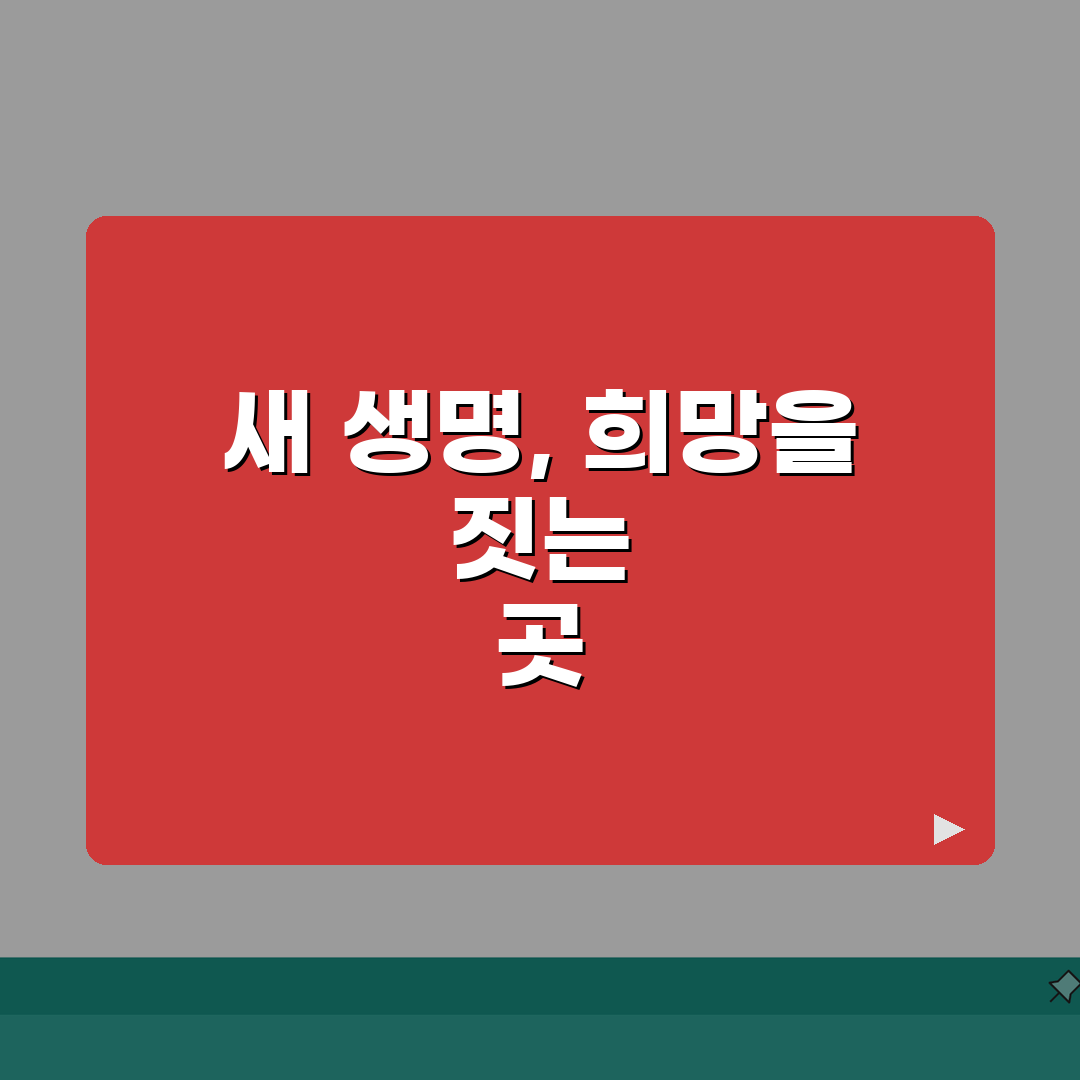 서울 송파구 잠실동 산부인과 | 임신출산, 난임클리닉 추천! 여기 꼭 가보세요