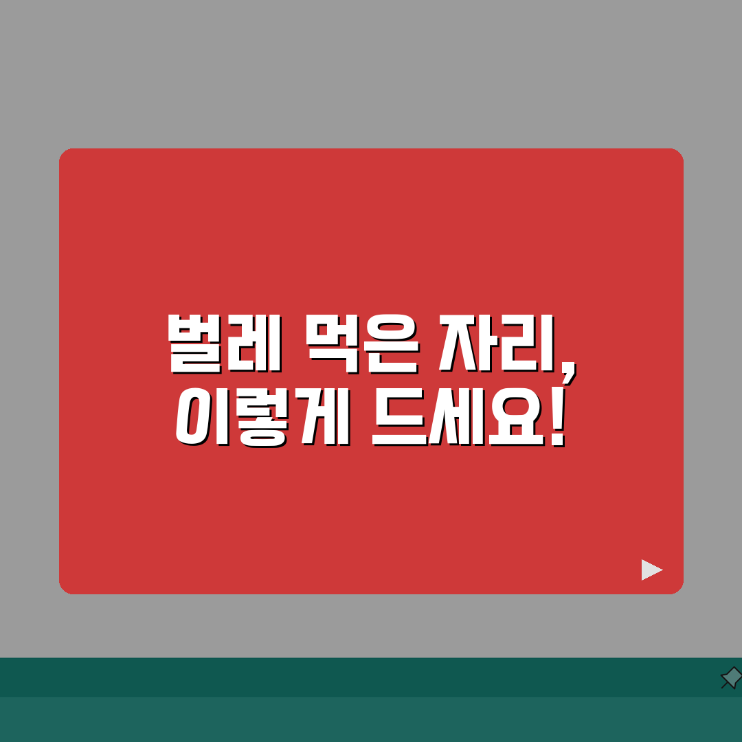 벌금자리 나물 먹는 방법 | 봄철 입맛 돋우는 나물 요리 꿀팁 공유해요!