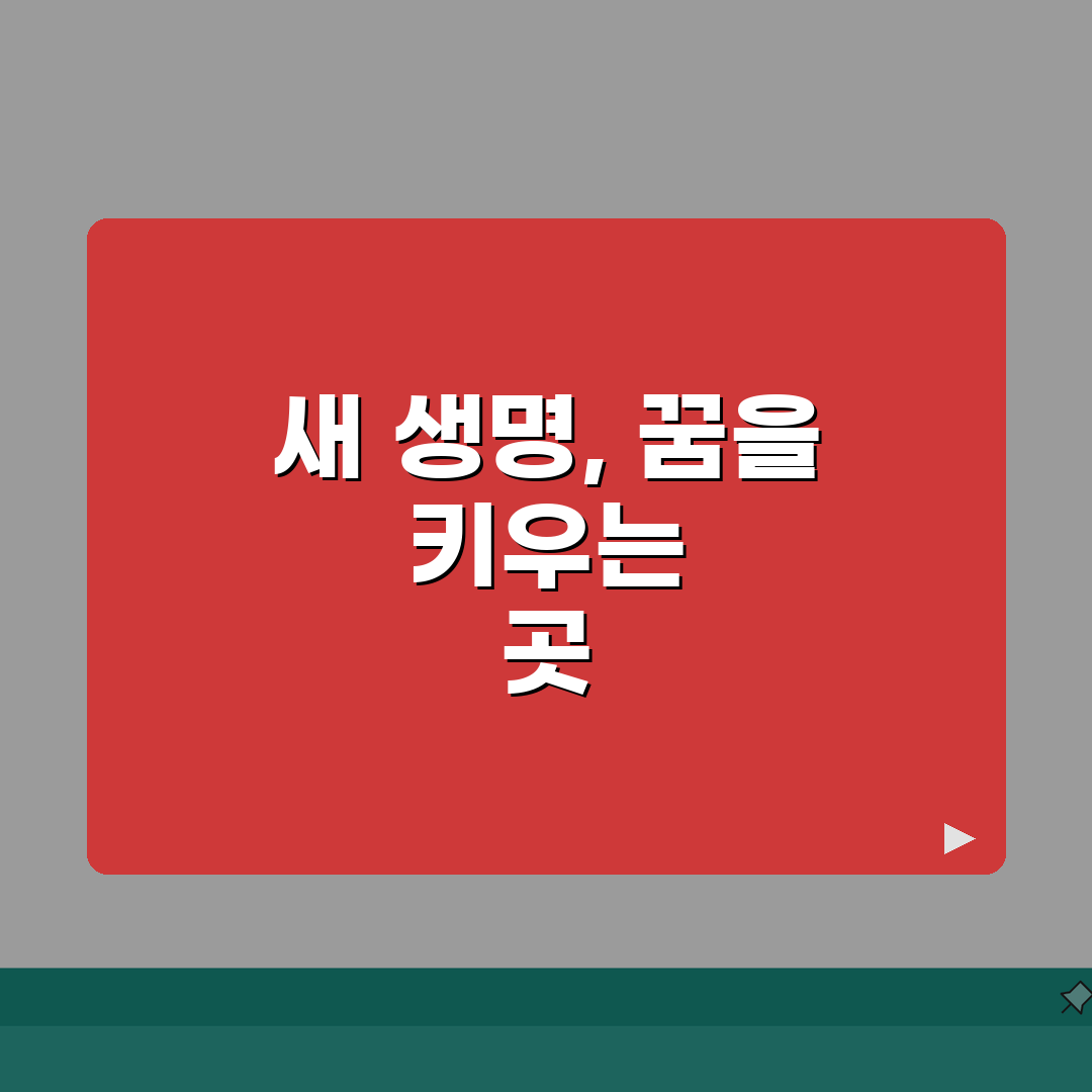 서울 송파구 잠실동 산부인과 | 임신출산, 난임클리닉 추천! 여기 꼭 가보세요